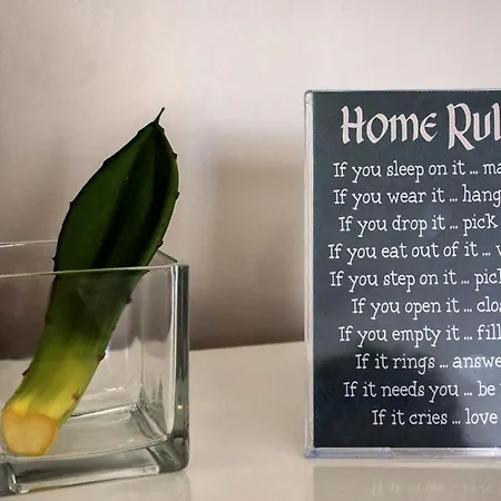 Stonehouse * Ponta Delgada